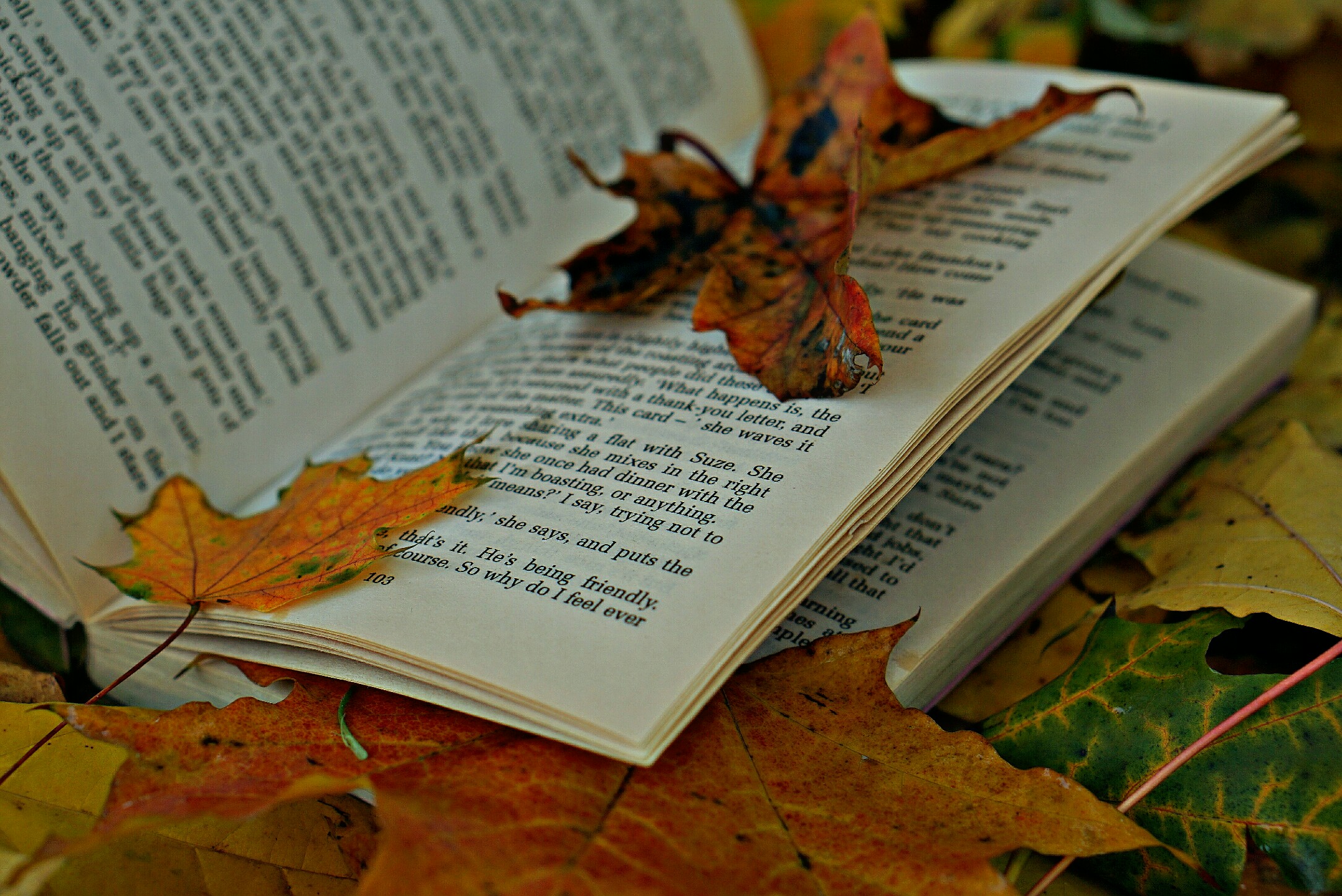 Осенняя книжка